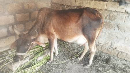 थंबनेल 3