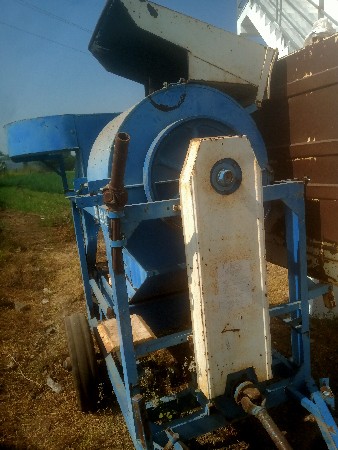 બાજરાનુ