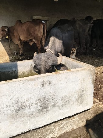 थंबनेल 2