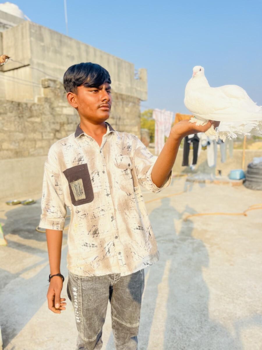 थंबनेल 2