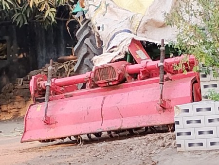 માંસી યો