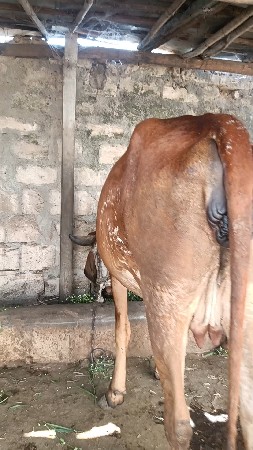 थंबनेल 3