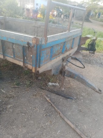 ટોલી વેશવાનીછે