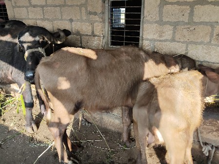 थंबनेल 2