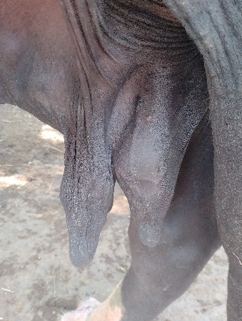 थंबनेल 3