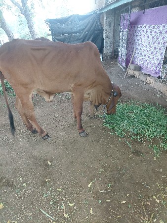 थंबनेल 2