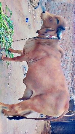 थंबनेल 2