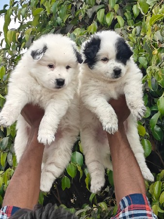 थंबनेल 3