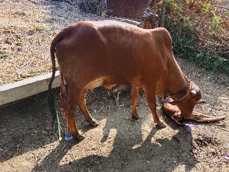 थंबनेल 5