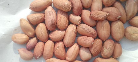 39 no mandvi biyaran mate