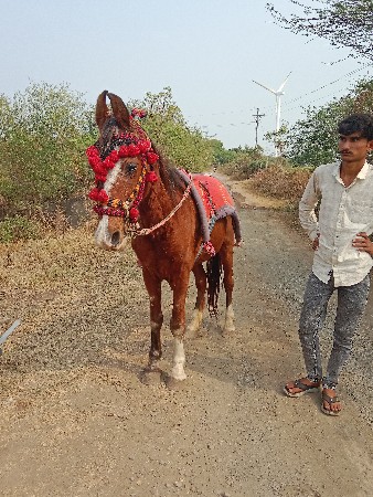 थंबनेल 3