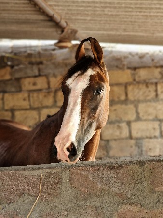 થંબનેલ 3