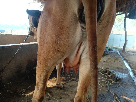 थंबनेल 2