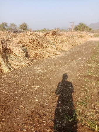 4000હજારપુરાસે