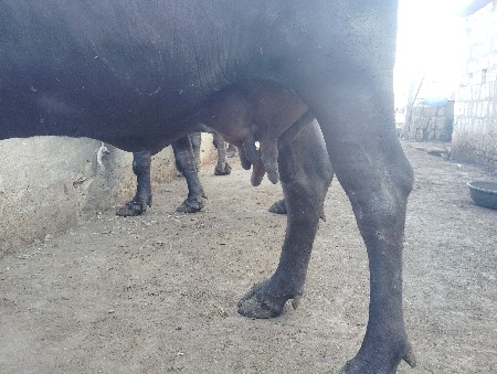 थंबनेल 3