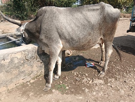 थंबनेल 3