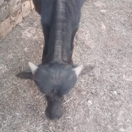 थंबनेल 2