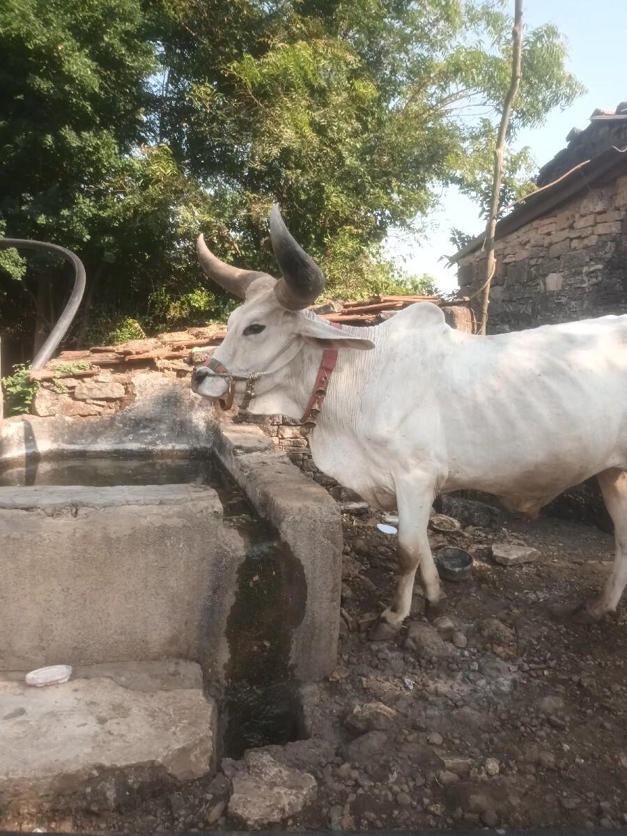 थंबनेल 2