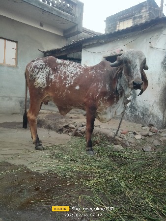 थंबनेल 2