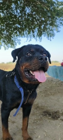 थंबनेल 3