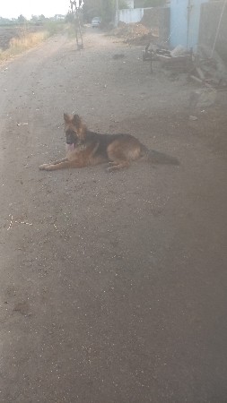 થંબનેલ 3