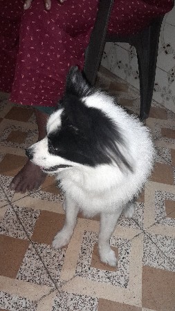 થંબનેલ 3