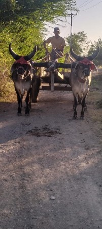 थंबनेल 3