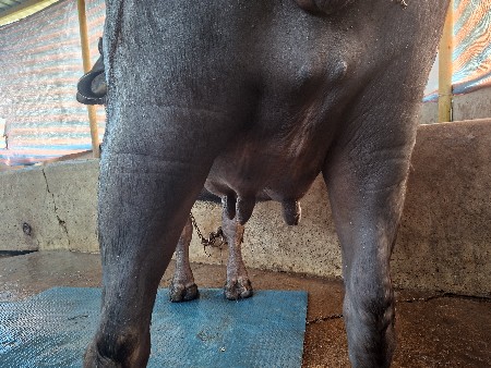 थंबनेल 3