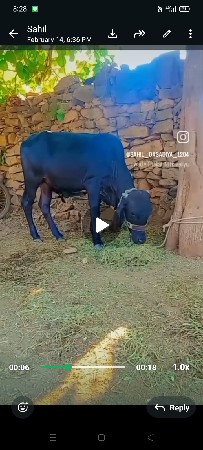 , આ વાસળી વેચવાની છે