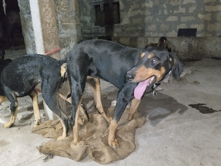 थंबनेल 3