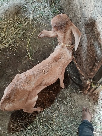 थंबनेल 3