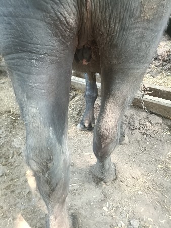 थंबनेल 3