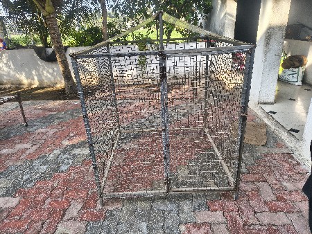 થંબનેલ 3