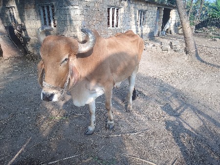 थंबनेल 2