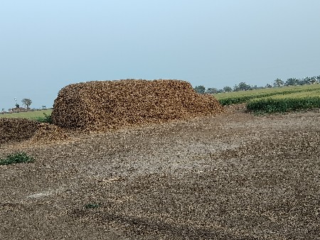માડવીનો ભુકો વેચવાનો છે