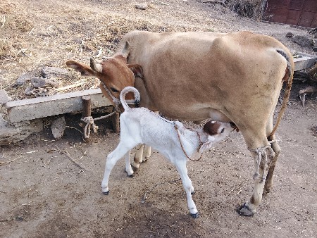 थंबनेल 3