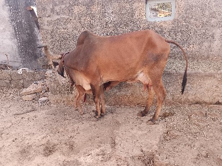 थंबनेल 2