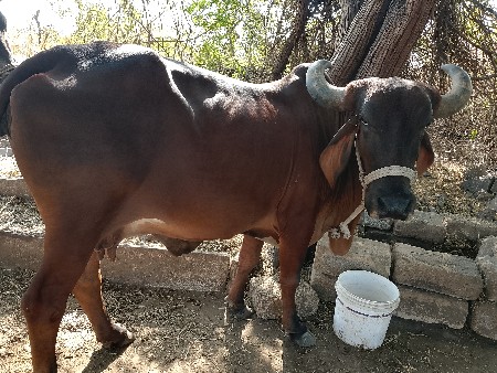 थंबनेल 2