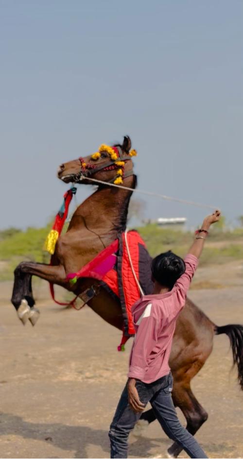 थंबनेल 2