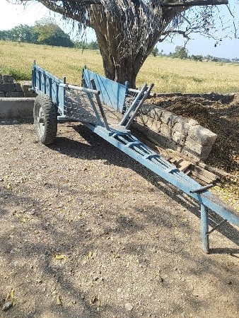 બલદ ગાડી વેશવા ની છે