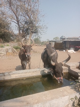 थंबनेल 2