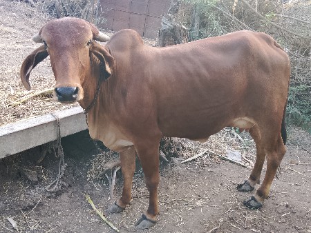 थंबनेल 3