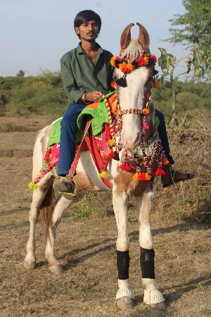 थंबनेल 3