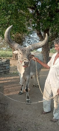 थंबनेल 2