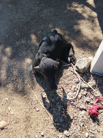 થંબનેલ 3