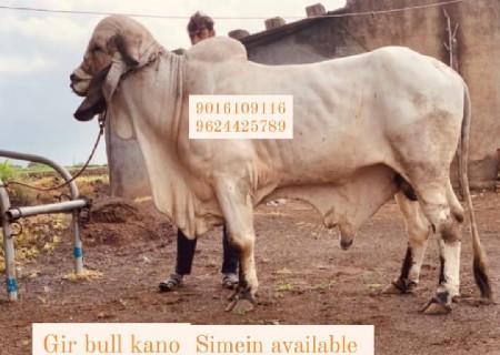 थंबनेल 5