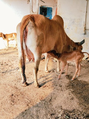 थंबनेल 3