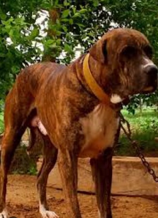 थंबनेल 3