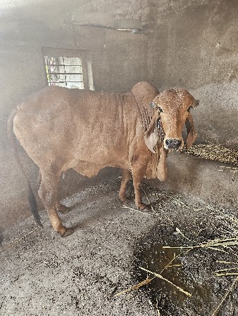 थंबनेल 3