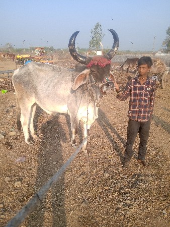 थंबनेल 2